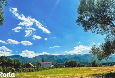 Teren de 2000 mp, în Sadu - 8