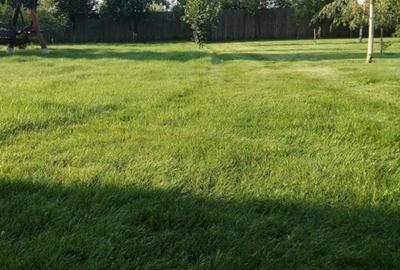 Ciopani vila 5 camere teren 4000 mp - 7