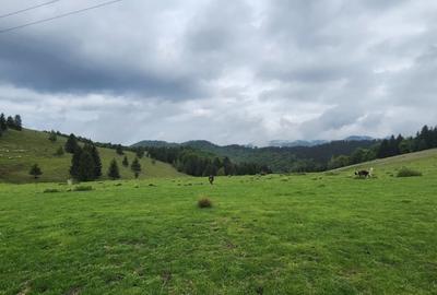 Parcele de vis in munti - Zona Arka Park, cu drum de acces si PUZ aprobat - 14
