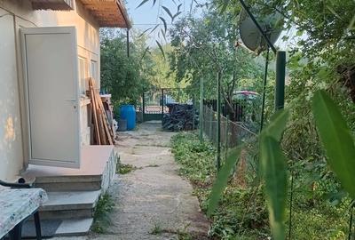 Carbunesti, Prahova - 3