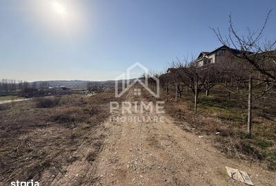 Teren de 5600 mp, în Cetate - 3