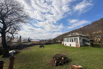 Teren Construcții intravilan de 1002 mp, în Nămăești - 1