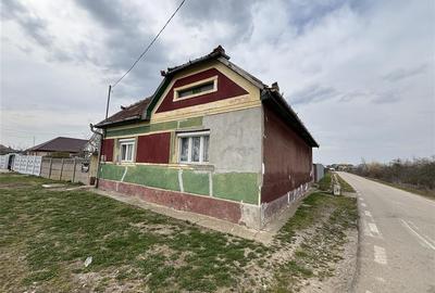 Casă cu 4 camere cu Teren 1654 Mp în Cefa - 2