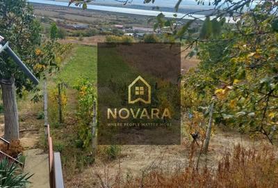 Teren de 2000 mp, în Tileagd - 2