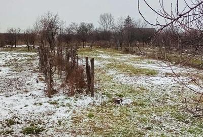 Casă cu 4 camere în Bârsa - 1