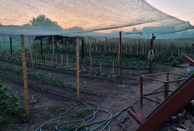 Casă de vânzare Topraisar - 12