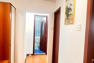Apartament cu 2 camere decomandat, mobilat în Dristor - 16