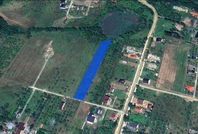 Teren Construcții intravilan de 2800 mp, în Voila