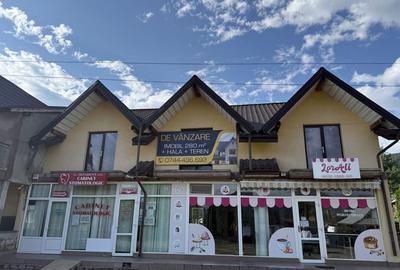 Spațiu comercial, de 380 mp, în Alexandru cel Bun - 4