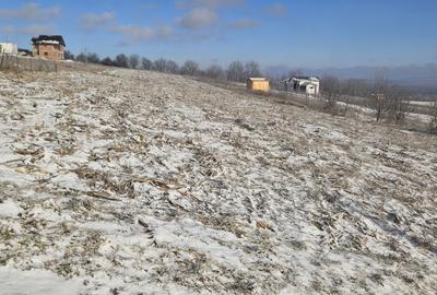 Spațiu comercial, în Tomești - 6