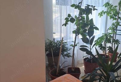 Casă cu 5 camere în Pechea - 4