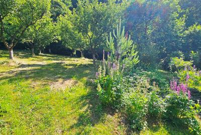 Vila P+1+5600 mp teren, proprietate de 5 km de oras - 2