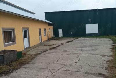 Spațiu comercial, de 1,000 mp, în Central - 6