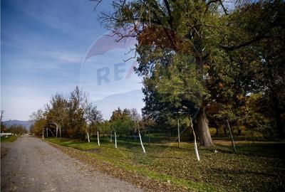 Domeniu Baronial de vanzare in localitatea CIL , Judet Arad - 7