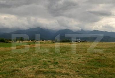 Teren de 8600 mp, în Cârțișoara - 3