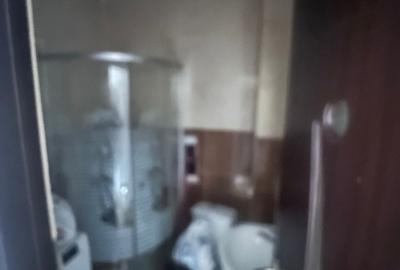 Apartament 2 camere str Pepinierii - 4