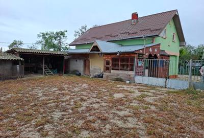 Casă individuală cu 2 camere cu Teren 2600 Mp în Crâmpoia - 10