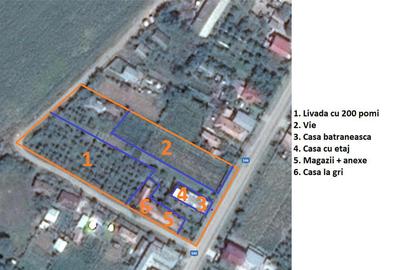 Casă cu 5 camere cu Teren 5500 Mp în Teslui - 2