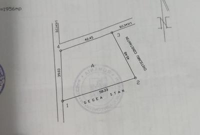 Teren Construcții intravilan de 1956 mp, în Vânători