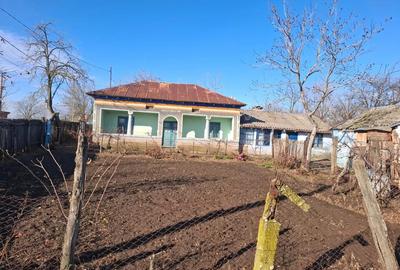 Casa batraneasca de vanzare in sat Segarcea Deal,jud Teleorman - 3
