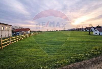 Teren Construcții de 4000 mp, în Vințu de Jos - 2