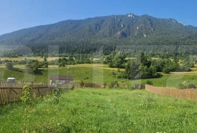 Teren de 1004 mp, în Zărnești - 5