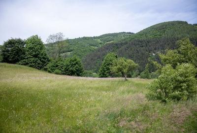 Teren intravilan - 1.050 mp în Bran cu utilitati - priveliște Bucegi - 7