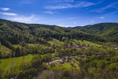 Casă cu 4 camere cu Teren 1800 Mp în Săvârșin - 3