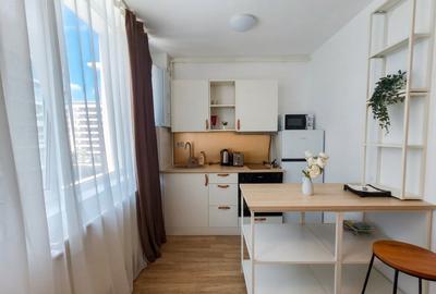 Garsonieră, mobilată în Aviației - 3