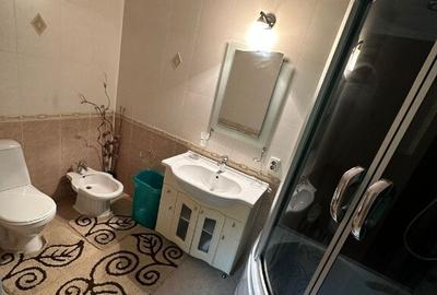 Apartament cu 2 camere de inchiriat in zona Pantelimon - 3