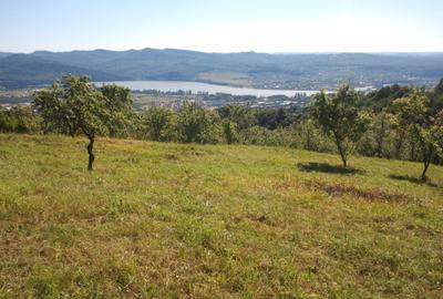 Teren livadă cu panoramă superbă Dealul Malului pentru casă sau cabană - 15
