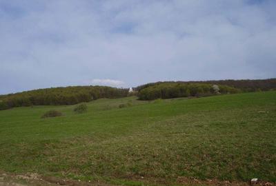 Teren de 2200 mp, în Dobârlău - 2
