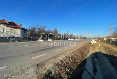 Casa P+M - la strada principala - Dragu?e?ti - 4