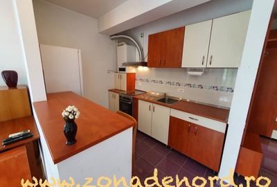 Garsonieră, mobilată în Bucureștii Noi - 9