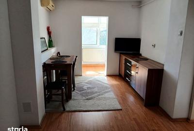 Apartament cu 2 camere, mobilat în Șagului - 12