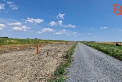 Teren intravilan cu toate utilitatiile zona Daimond Events Sacalaz - ID V5476 Teren intravilan cu toate utilitatiile zona Daimond Events Sacalaz - ID V5476 - 7