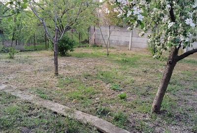 Casă cu 3 camere cu Teren 900 Mp în Dumbrăvița - 15