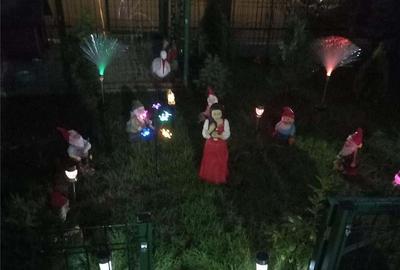 Casă cu 4 camere cu Teren 165 Mp în Berceni - 1