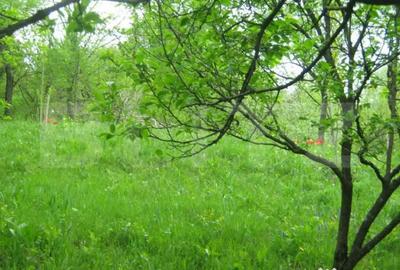 Teren în Central - 2