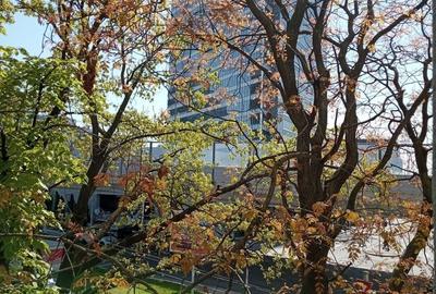 Garsonieră decomandată în Aviației - 9