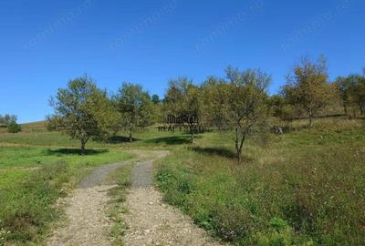 Teren de 8757 mp, în Luncoiu de Sus - 14