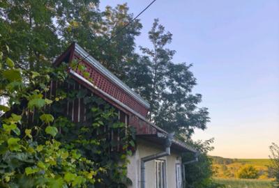 Casa individuala, 3500mp teren, zona Negostina, Siret - 6