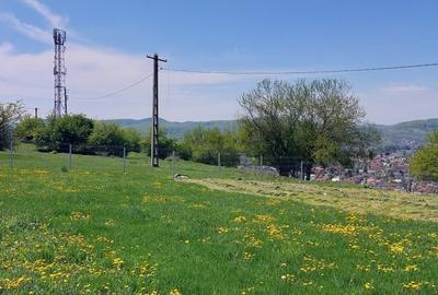 Teren Campina varful Muscel - 4