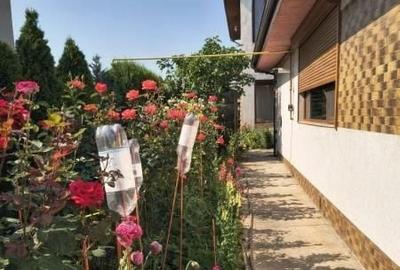 Casă individuală cu 5 camere cu Canalizare în Km 5 - 4