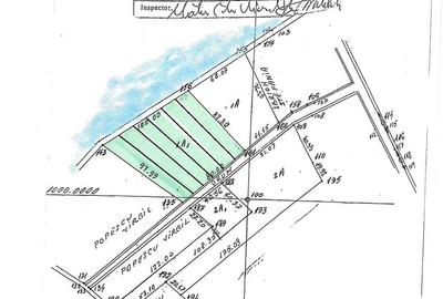 Teren de 1226 mp, în Vrancea - 1