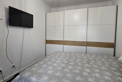 Apartament cu 3 camere decomandat în Nufărul - 16