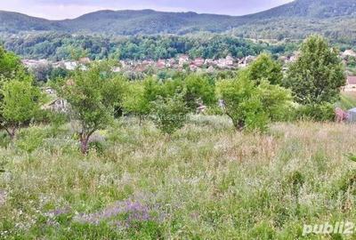Teren de 3600 mp, în Morilor - 5