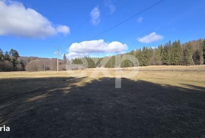 Teren de 19200 mp, în Brădet - 11