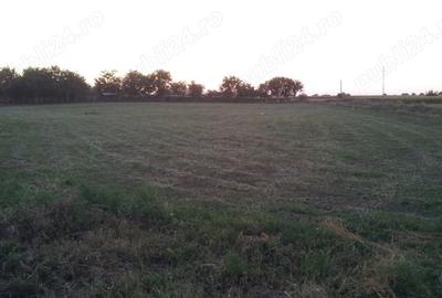 Spațiu comercial, în Cărpiniș - 47