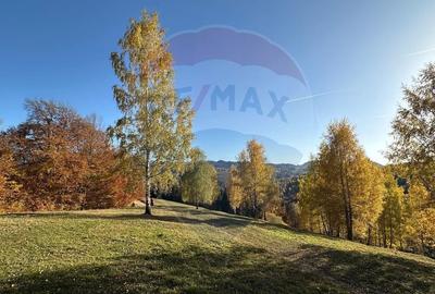 Oportunitate de investiție ! Teren de vis în Pestera - 125.370 mp - 9